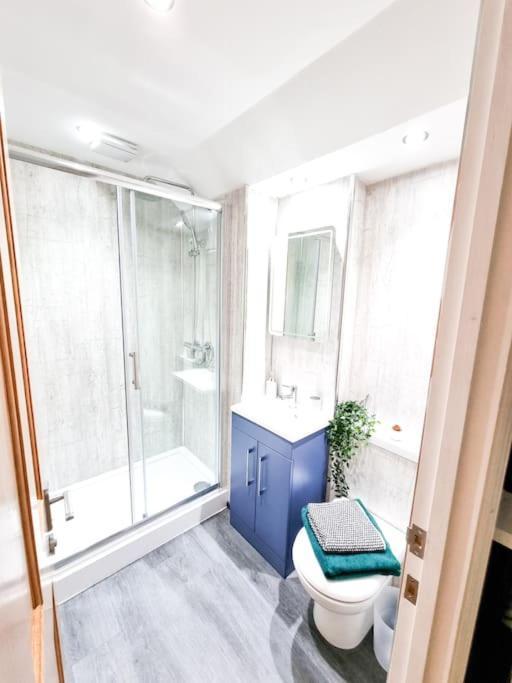 斯旺西Gorgeous Newly Renovated 2 Double Bed Flat公寓 外观 照片